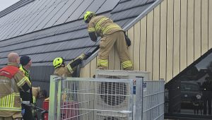 Duif vast in dak Makado Centrum Schagen