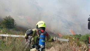 Duinbrand in Sint Maartenszee