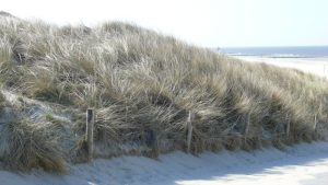 Verkiezing bijzonder landschap in Noord-Holland