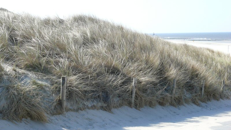 Verkiezing bijzonder landschap in Noord-Holland