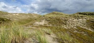 Avondwandeling door het PWN-duin bij Den Helder
