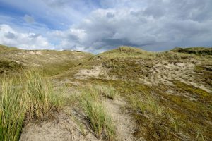 Landschap Noord-Holland organiseert wandeltocht door Noordkop
