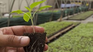 Subsidie beschikbaar voor duurzame agrariërs