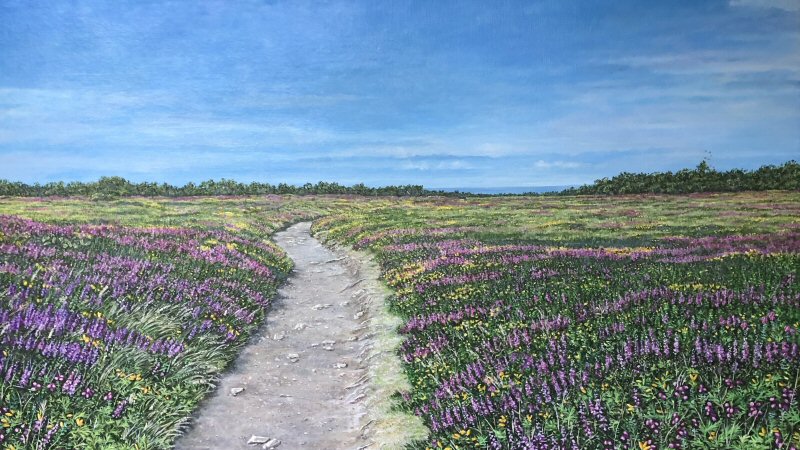 Kunst in de Etalage: Tineke Dekker
