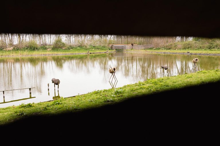 Hoor en zie de ‘geheimen’ van Eendenkooi ’t Zand