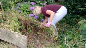 Tuinliefhebbers gezocht 