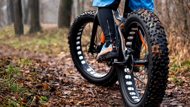 Fatbike vs speed pedelec