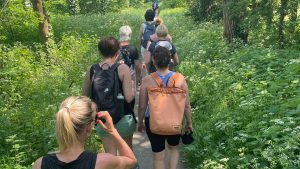 Nu ook: Feeling Fit Walk