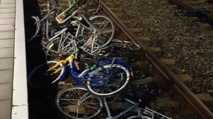Tientallen fietsen op spoor Anna Paulowna