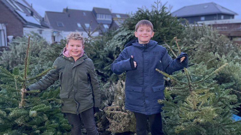 Kerstbomeninzameling in 2025