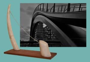 Expositie fotokunst “Verbinding” in kerstvakantie in de Cultuurschuur