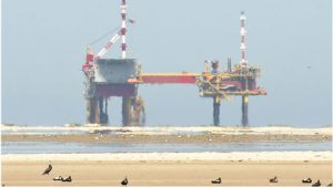 Bescherm de Waddenzee, stop gaswinning