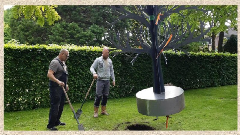 Gedenkboom op begraafplaats Middenmeer