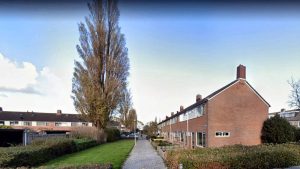 22 zieke bomen gekapt in gemeente Schagen