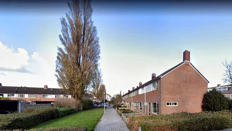 22 zieke bomen gekapt in gemeente Schagen