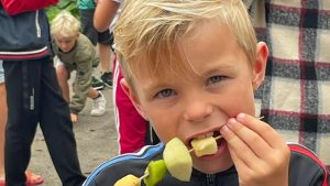 De Zwerm is een Gezonde School