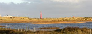 Winterwandeling met gids door Grafelijkheidsduinen