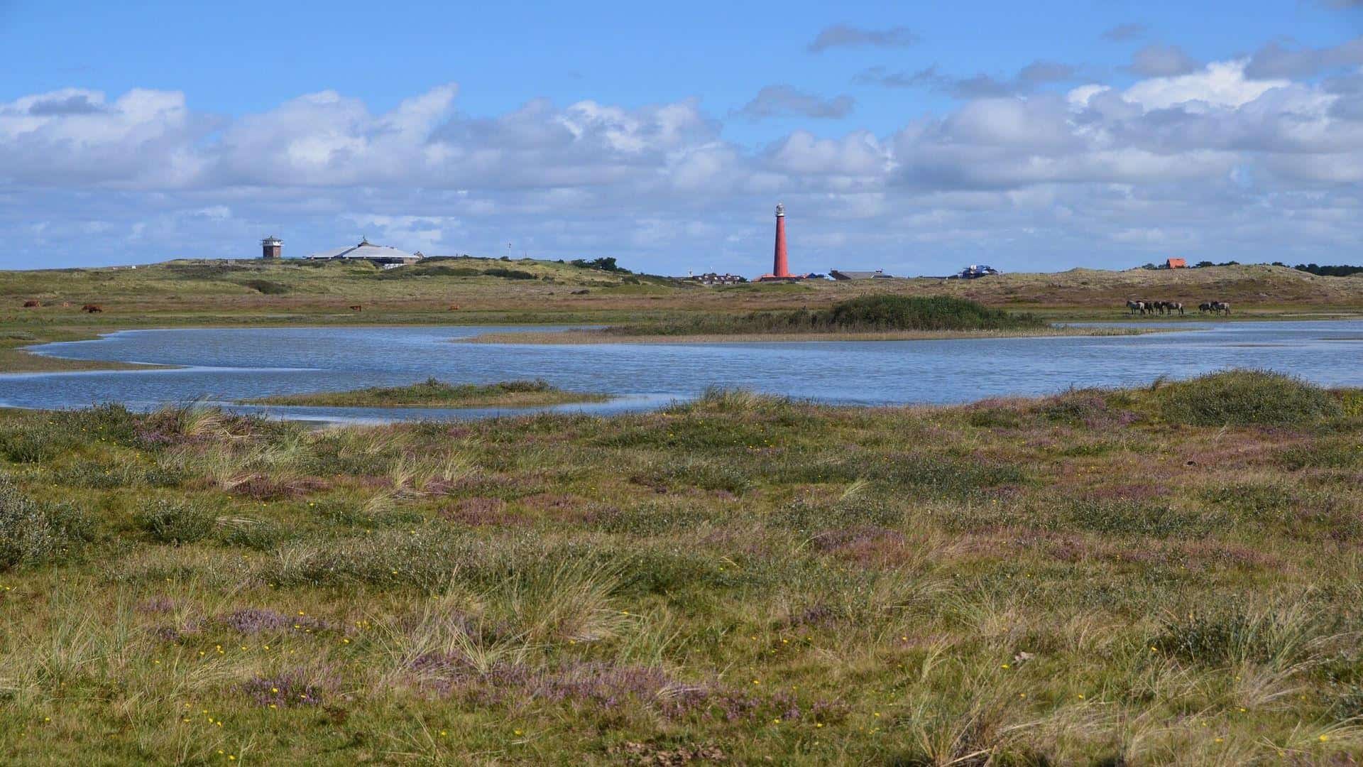 Wandeling met natuurgids door de Grafelijkheidsduinen