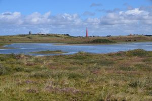 Mee op pad door de Grafelijkheidsduinen