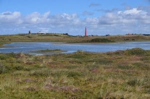 Op fotosafari door de Grafelijkheidsduinen