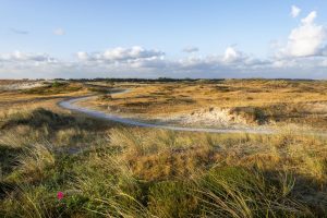 Landschap Noord-Holland zoekt vrijwilligers met groene vingers