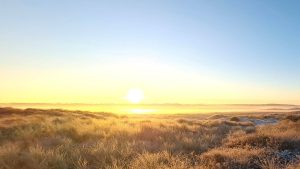 Foto-zwerftocht door de Grafelijkheidsduinen