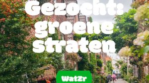 Groene straten gezocht