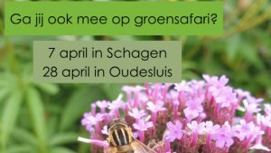 Ga mee op groensafari in Schagen