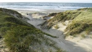 Met een gids door Botgat bij Groote Keeten