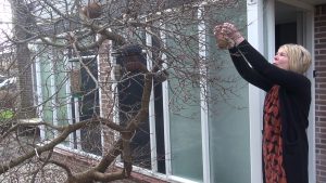 Guda telt dit weekend de tuinvogels (video)