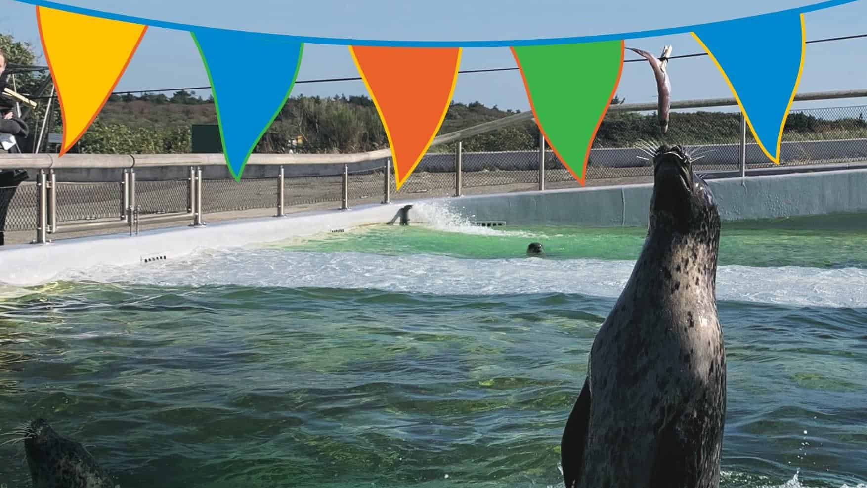 Haringparty bij Ecomare