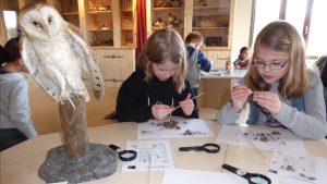 Herfstvakantie bij De Helderse Vallei: planetariumshows, uilenballen pluizen en meer