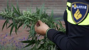 Eelco van S. voor de rechter voor wietplantage