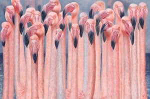 Kunstexpositie ‘Natuurlijk! Nanda Hoep’ in de St. Janskerk tijdens Bloemendagen