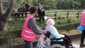 Hof van Wieringen & Ulkediep naar Hoenderdaell via Uitdaging