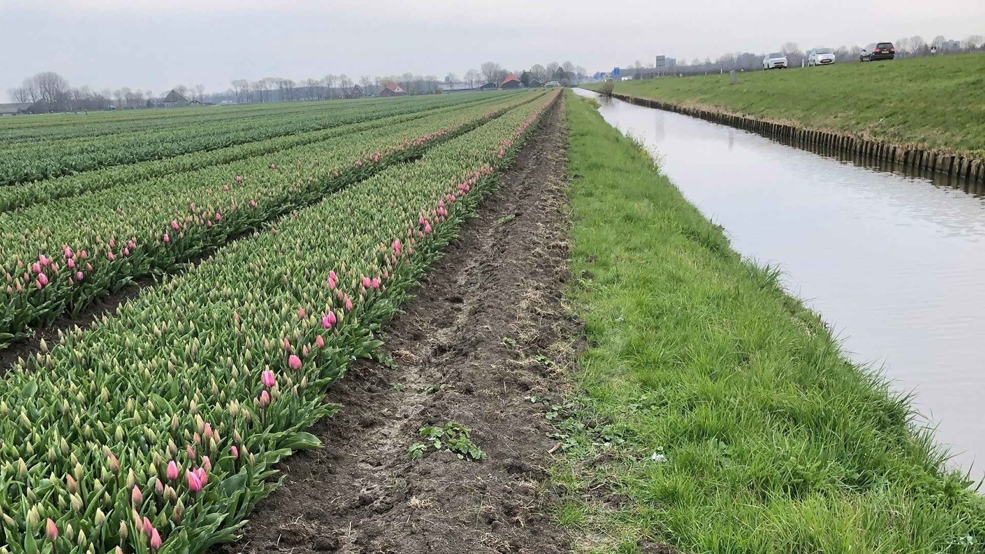 Controle afvalwater bollentelers