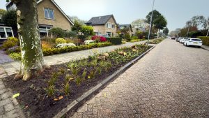 Bewoners ’t Veld toveren grasperkjes om tot bloeiende plantsoenen
