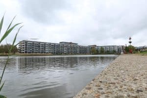 Dit jaar geen fontein in vijver Heiligharn