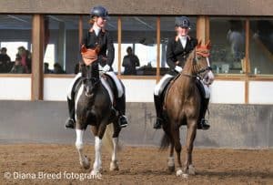 Paardensportevenement: kürcompetitie op muziek bij Wironruiters