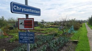 Ratten bij volkstuinen Schagen