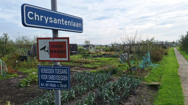 Ratten bij volkstuinen Schagen