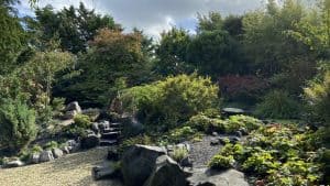 Gidswandeling naar en door Japanse Tuin in Hortus Overzee