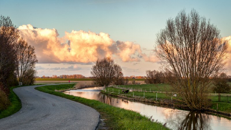 Kunstexposities in bieb van Tuitjenhorn