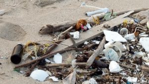 Jutten op strand van Camperduin
