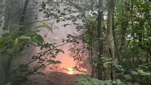 Kampvuur in bosje bij Vliedlaan