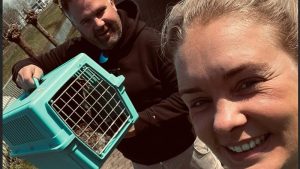 Kat Willem na 4,5 jaar herenigd met baasjes