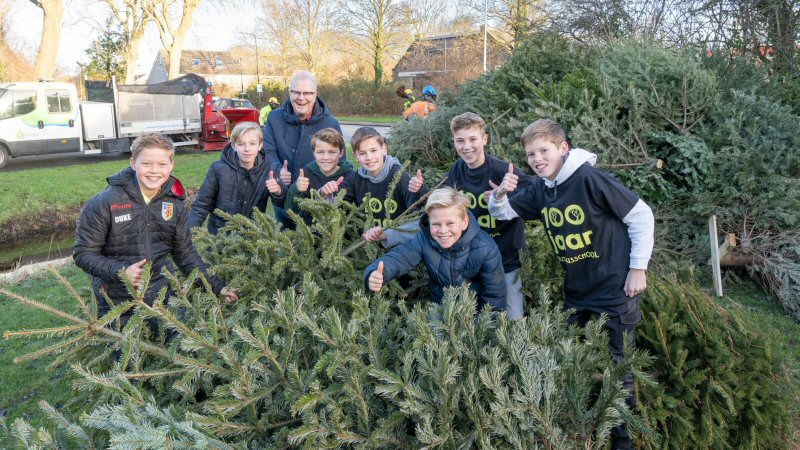 Kerstbomeninzameling op 9,10,11 en 12 januari