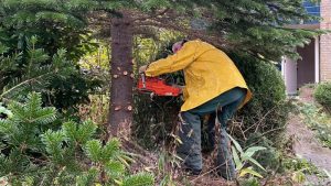 Kerstboom voor Hospice Schagen