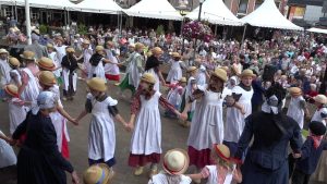 Muziek centraal op vijfde Folkloredag