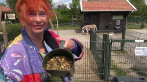 Een beestenboel met Kitty (video)